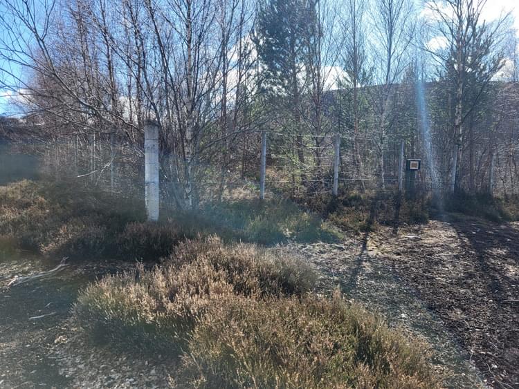 Braemar ROC Group (Ben Cormie)