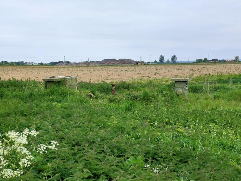 Boston ROC Post (Steven Ward)