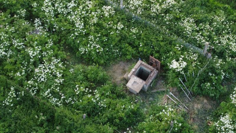 Duston ROC Post (Paul Wilkinson )