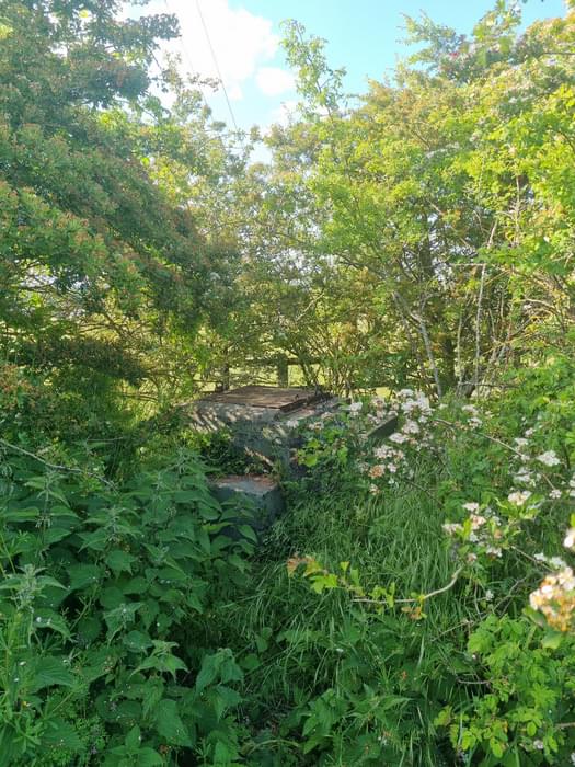 Bottisham ROC Post (Vince Robbins )