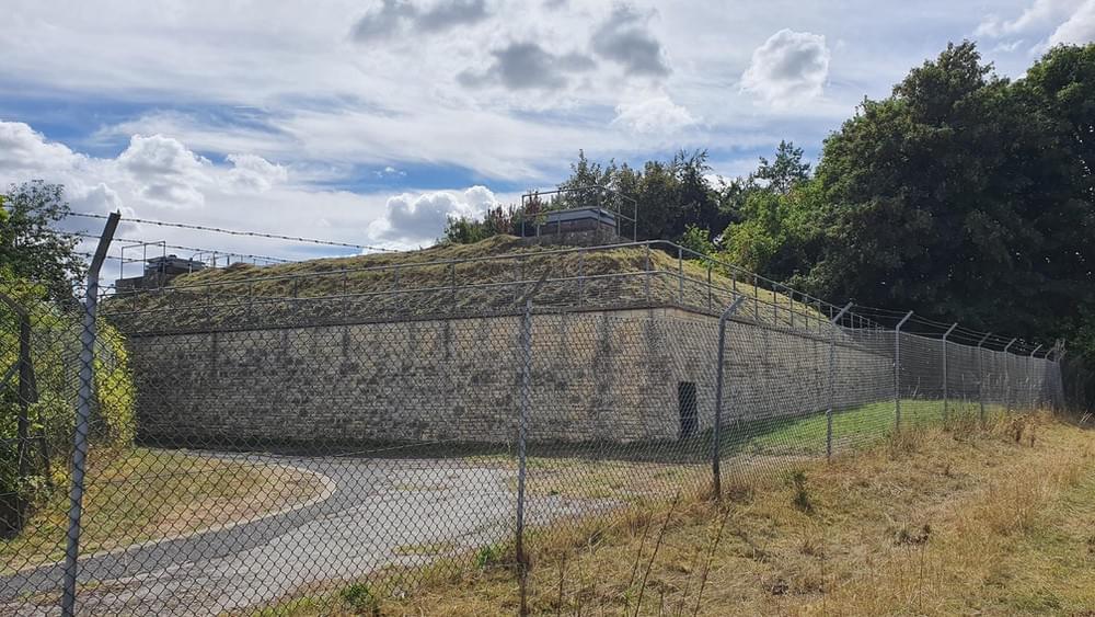 (Ryan Hickman - 2022)