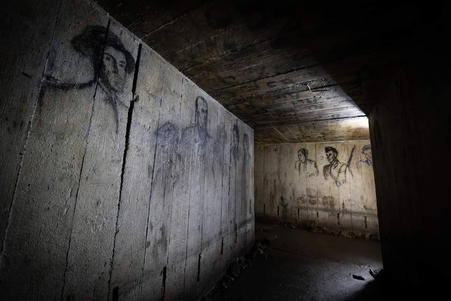 Shelter art - Bay 5 (Callum Cromwell - 2023)