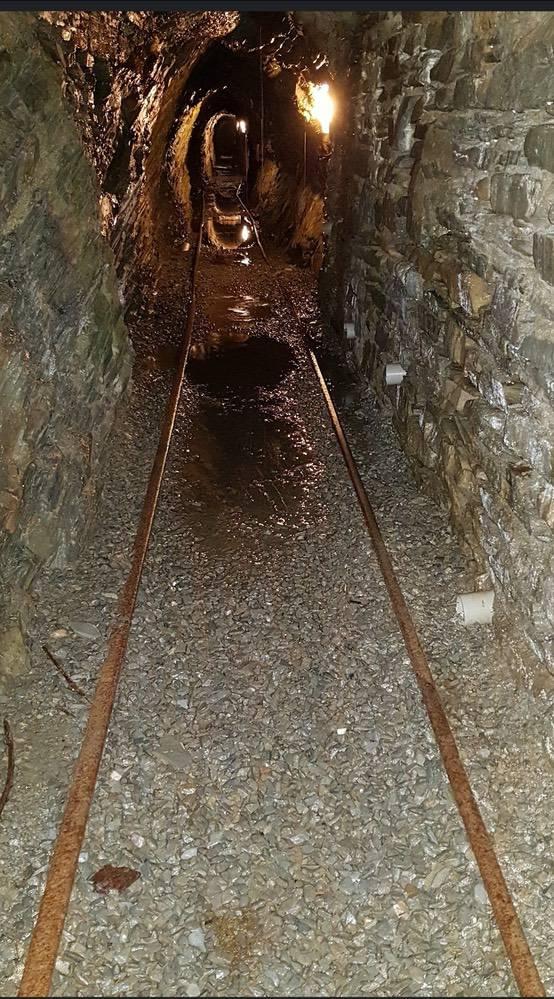 Wagon tracks (Sam Meirionnydd -2022)