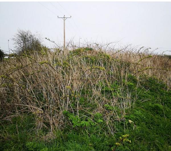 Bubwith ROC Post (Sam Webb)