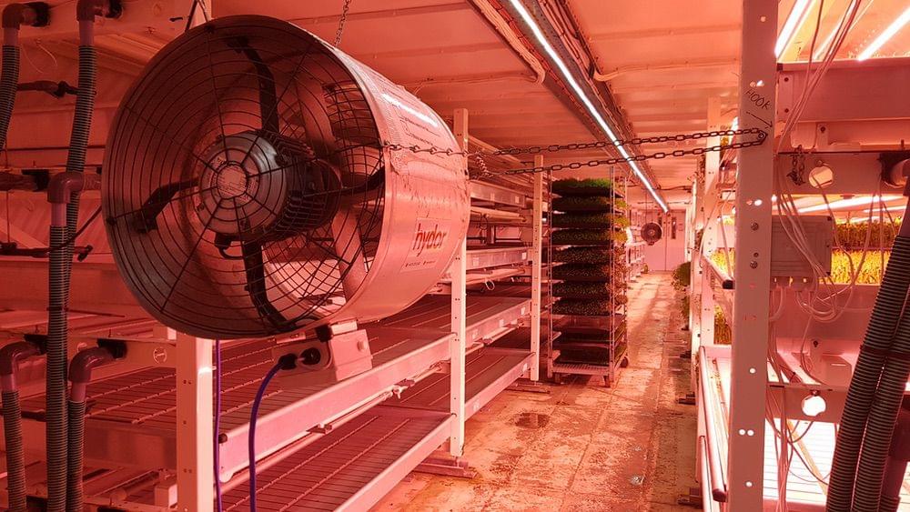 (Callum Cromwell - 2022)