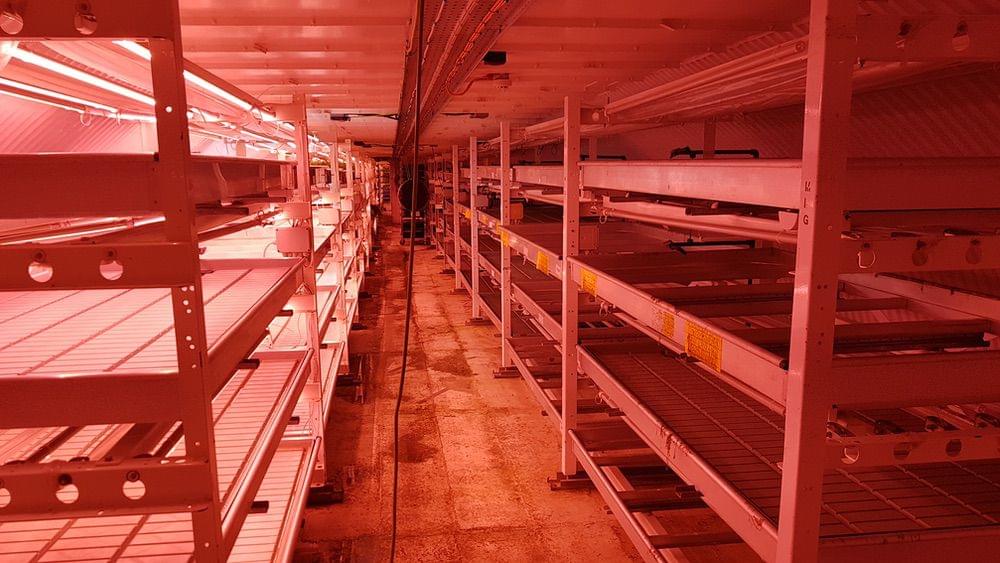 (Callum Cromwell - 2022)