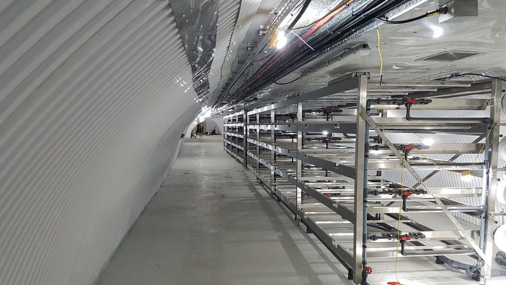 (Callum Cromwell - 2022)