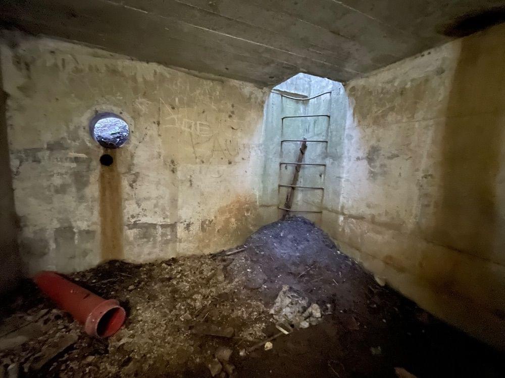 Interior (Neil Iosson - 2023)