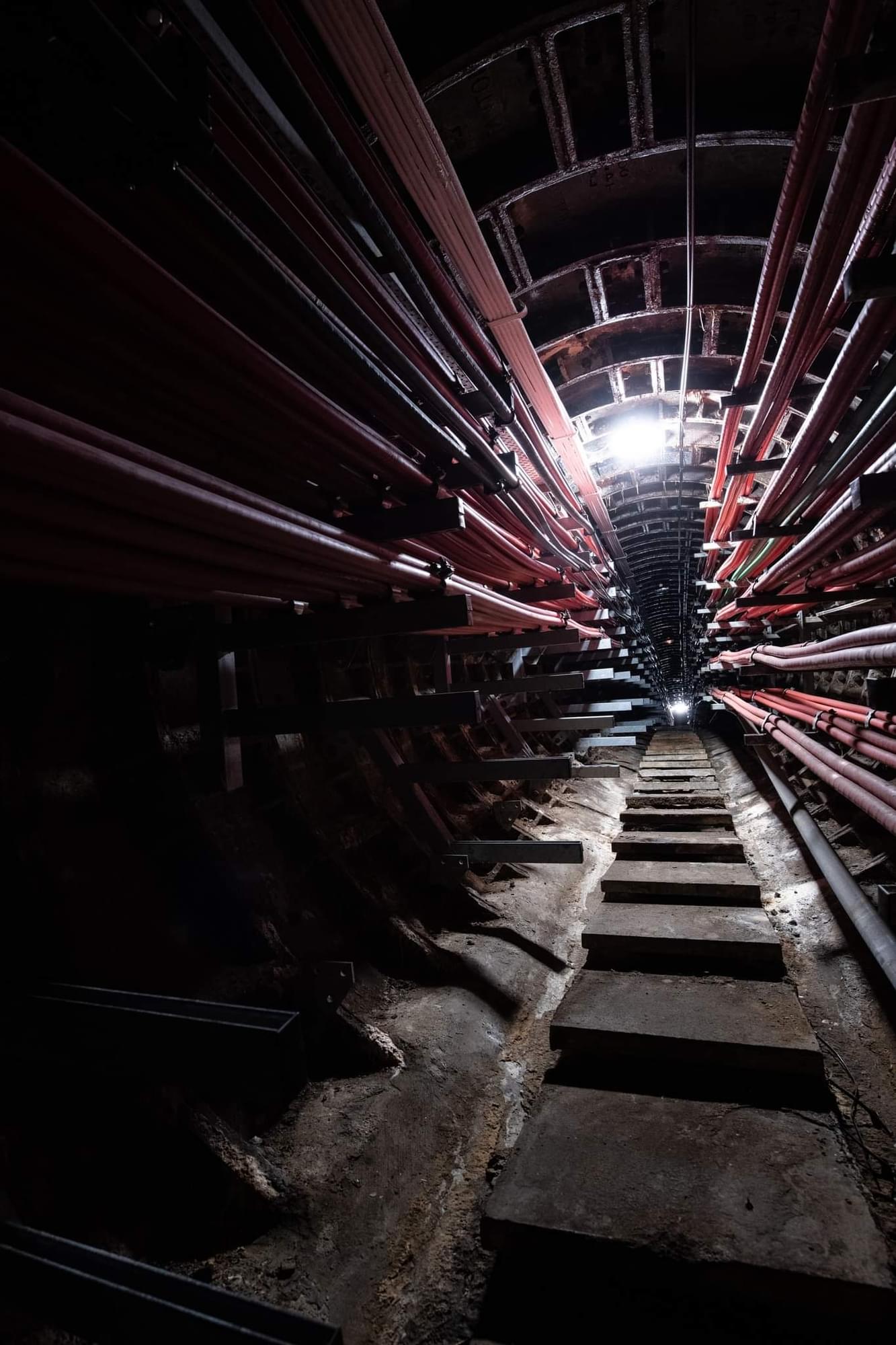 (Callum Cromwell - 2023)