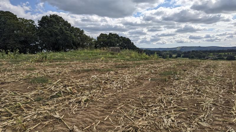 ROC POST ROGATE, HAMPSHIRE (Ian T)