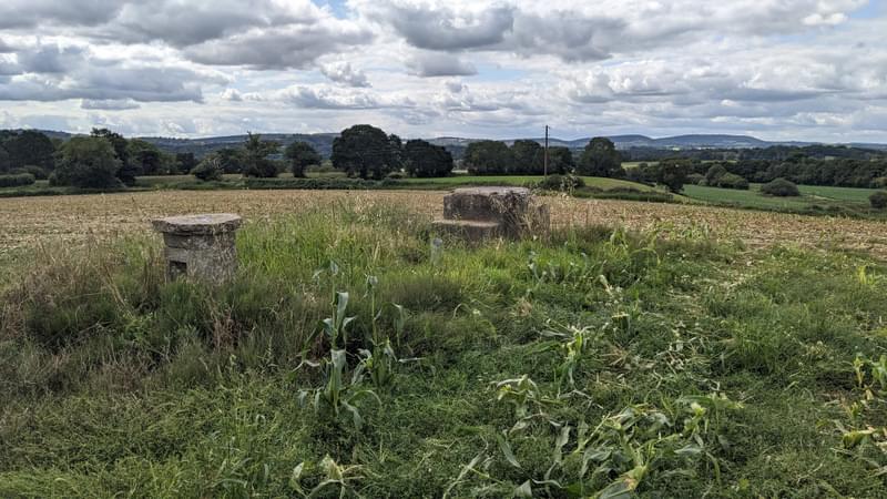 ROC POST ROGATE, HAMPSHIRE (Ian T)