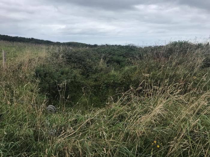 Trebetherick ROC Post 2023 (Turbo-Tim's Other World )