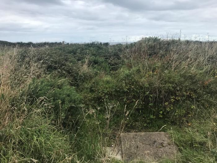 Trebetherick ROC Post 2023 (Turbo-Tim's Other World )