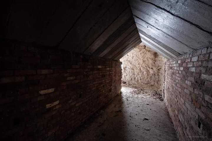 (Callum Cromwell (2023))