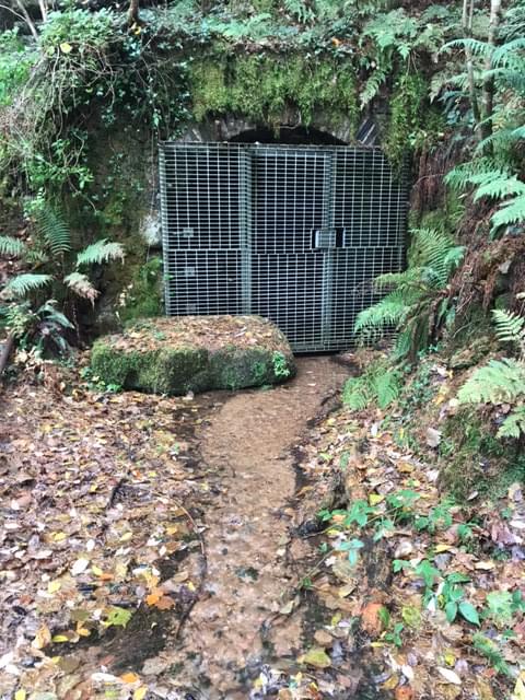 Secured entrance (Timothy Wood (2023))