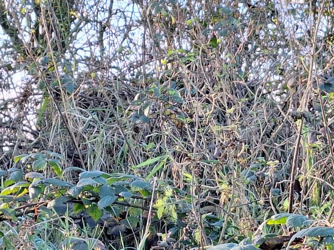 Cloghmills ROC Post (Blane Marchant)