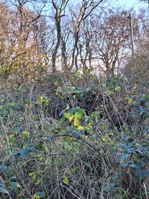 Cloghmills ROC Post (Blane Marchant)