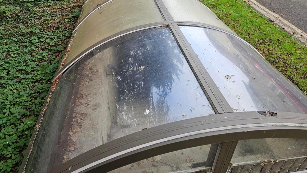 (Ryan Hickman (2023))