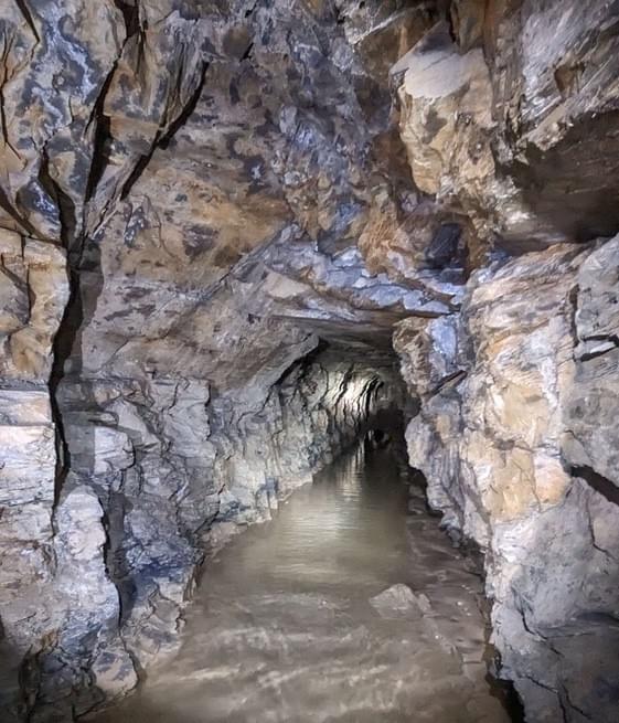 (Billy Whizz - William Rees (2023))