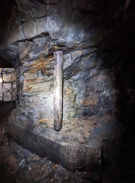 (Billy Whizz - William Rees (2023))