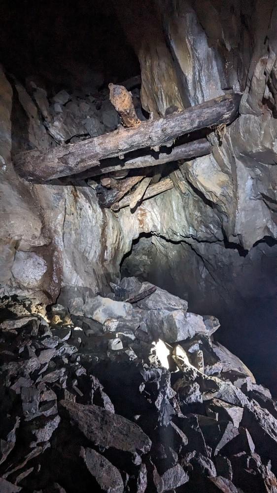 (Billy Whizz - William Rees (2023))