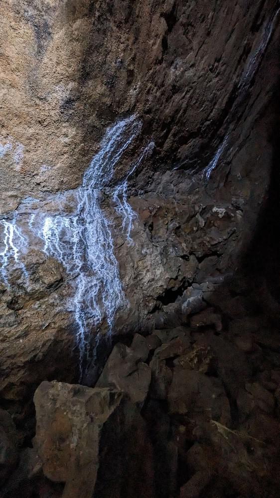 (Billy Whizz - William Rees (2023))