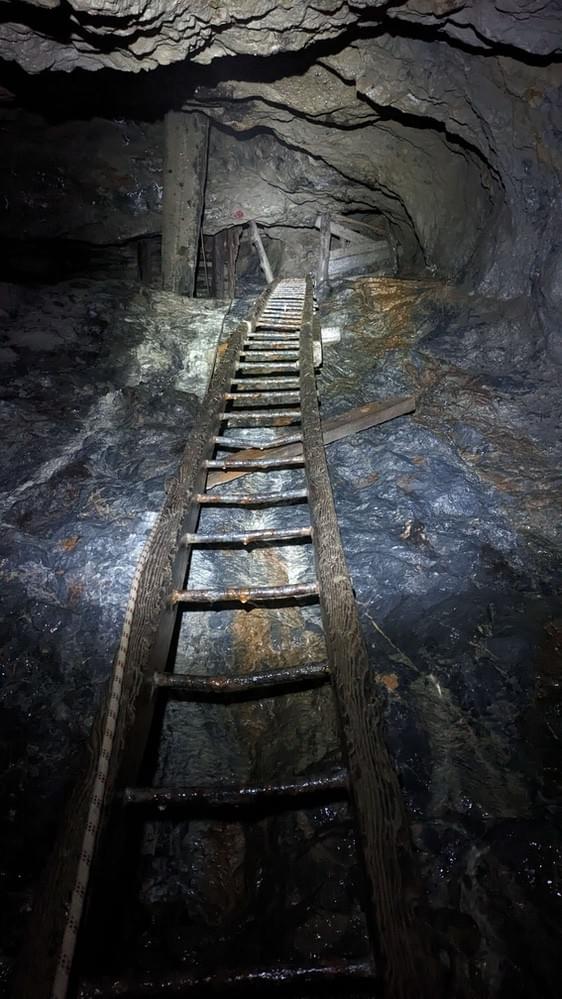 (Billy Whizz - William Rees (2023))