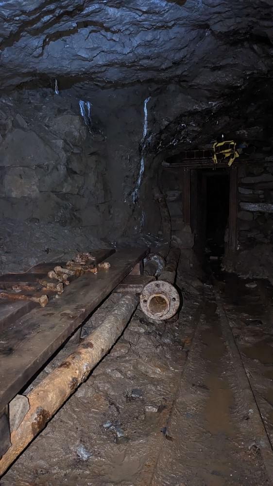 (Billy Whizz - William Rees (2023))