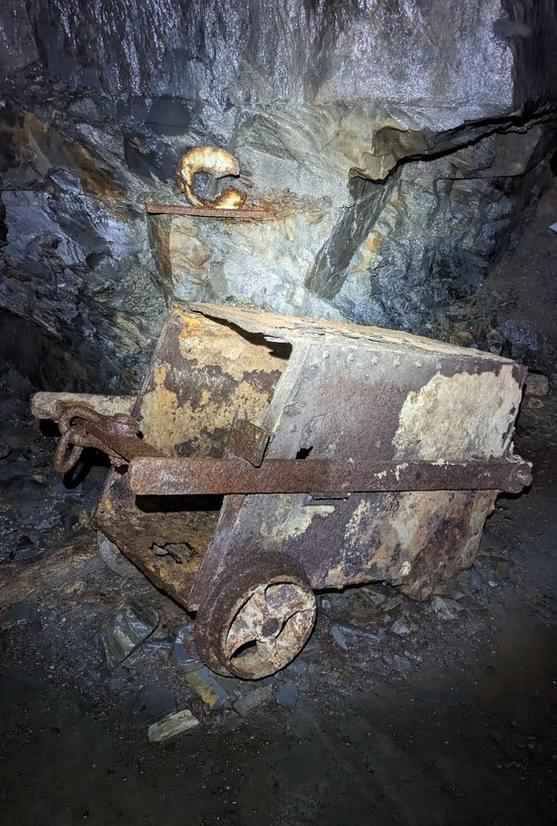 (Billy Whizz - William Rees (2023))