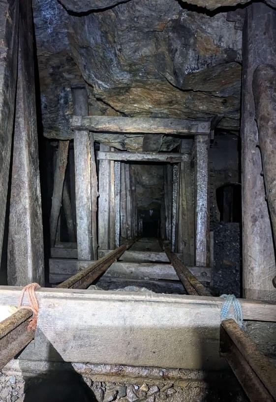 (Billy Whizz - William Rees (2023))