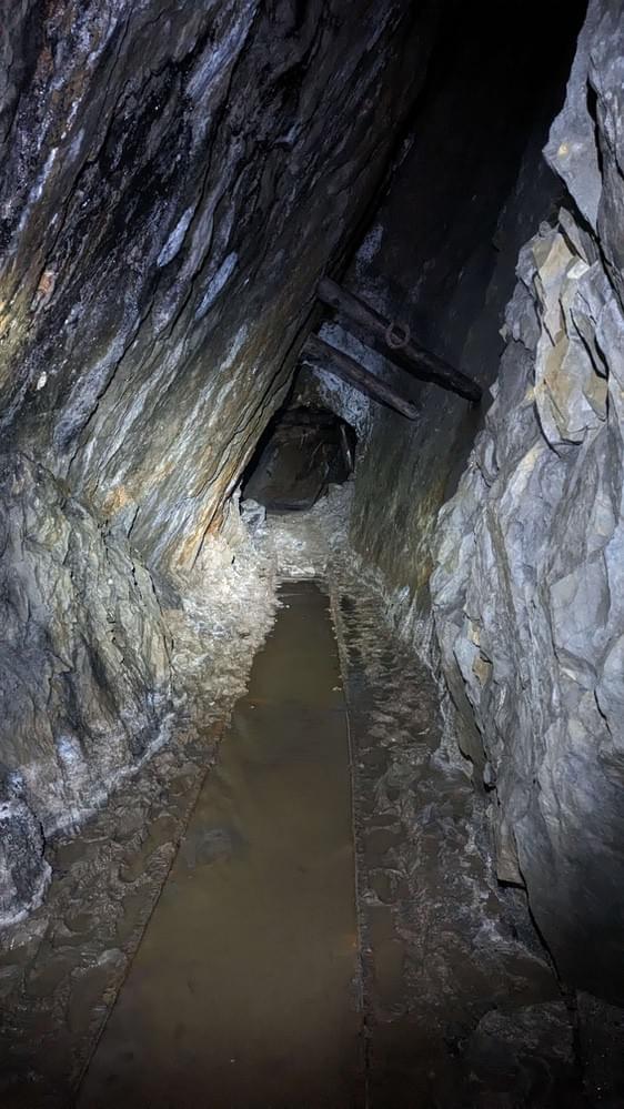 (Billy Whizz - William Rees (2023))