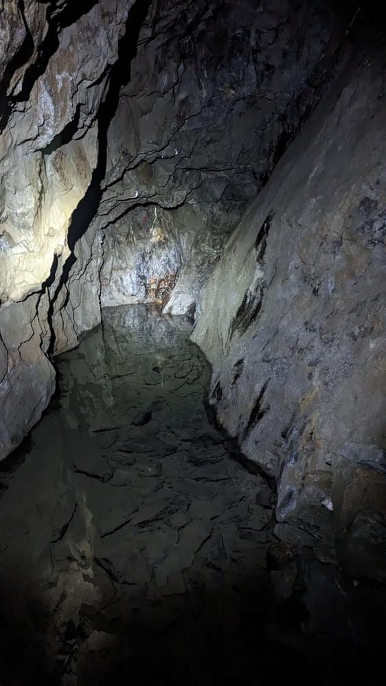 (Billy Whizz - William Rees (2023))