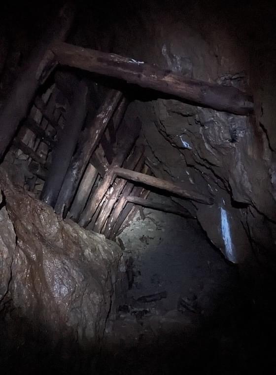 (Billy Whizz - William Rees (2023))