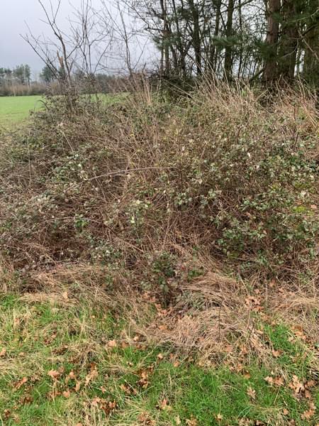 Visited  January 2024. Seems to be completely buried   (Mark Hughes)