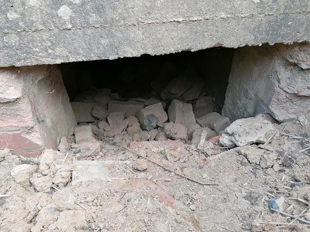 (Ashley Brown - 2023)