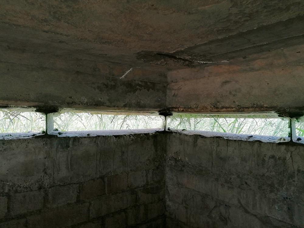 (Ashley Brown - 2023)