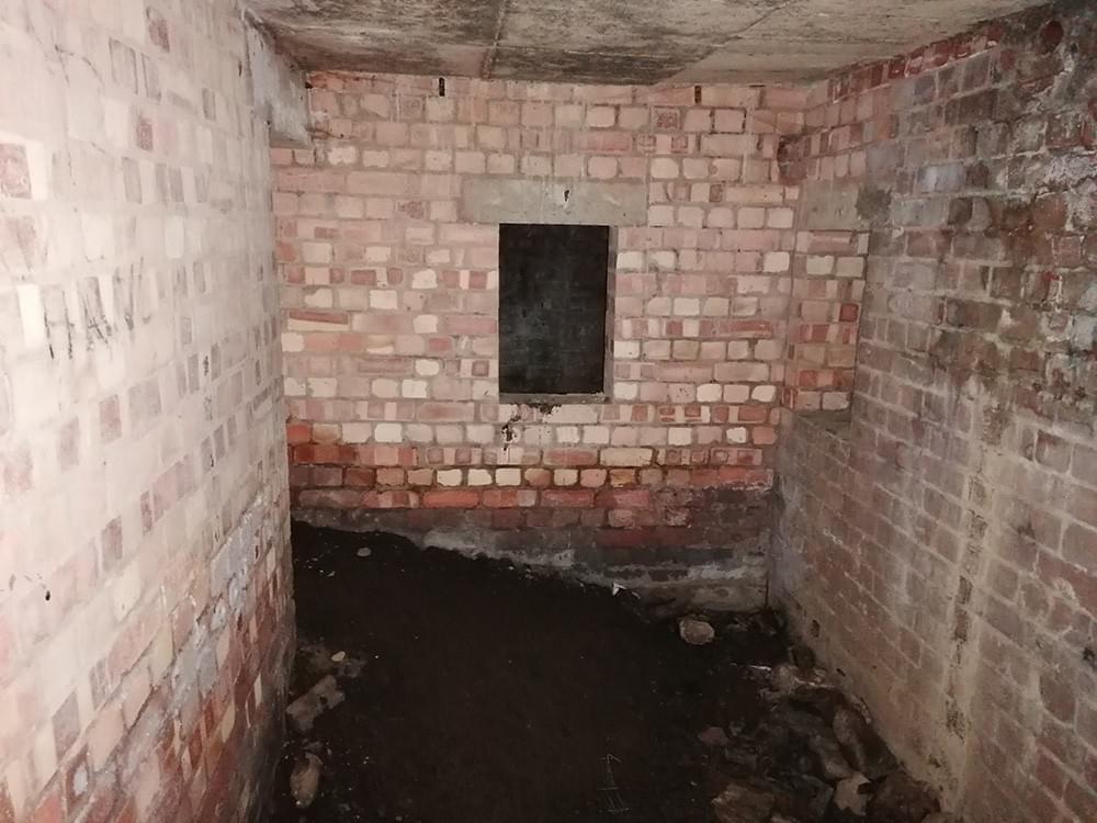 (Ashley Brown - 2023)