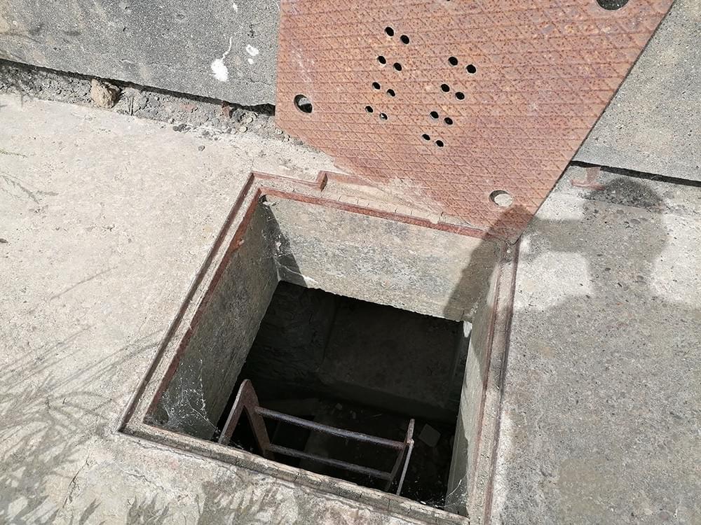 (Ashley Brown - 2023)