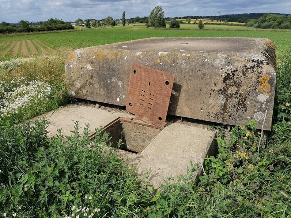 (Ashley Brown - 2023)