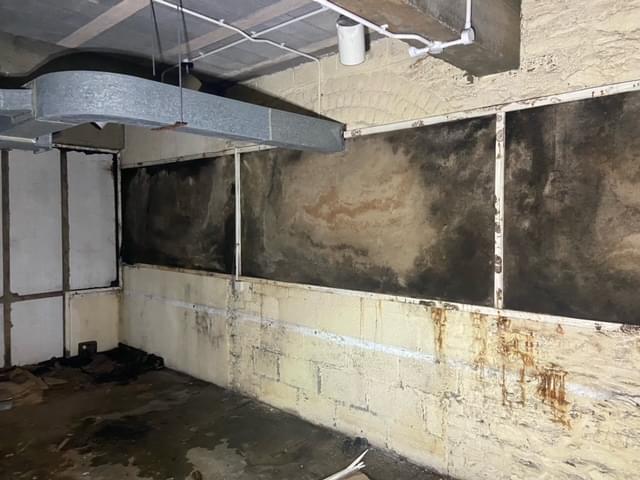 (Wesley Millership - 2024)