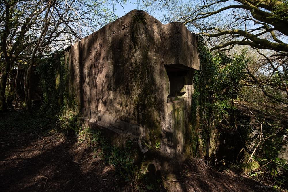 (Callum Cromwell - 2024)