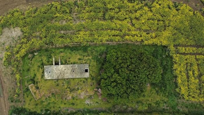 Market Deeping ROC Post 2024 (Nigel Price of Deeping Gate)