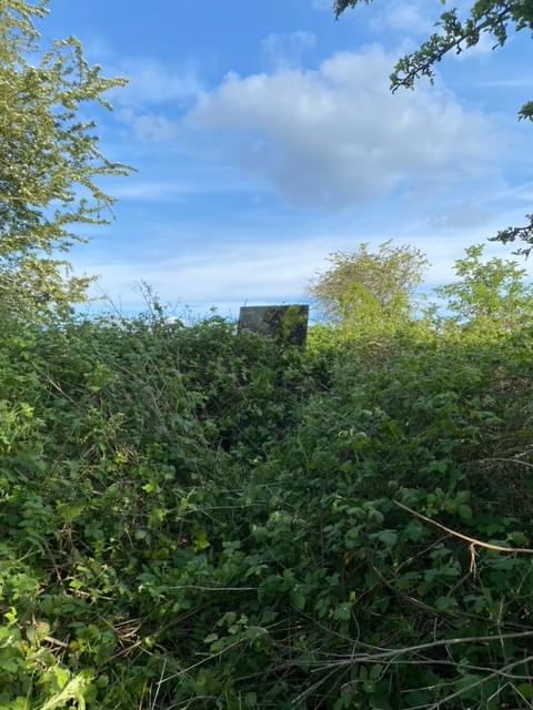 Roxton ROC Post 2024 (Charlie Gamble )