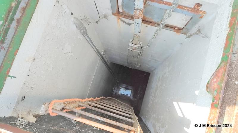 Singleton ROC Post 2024 (Sean Gallon)