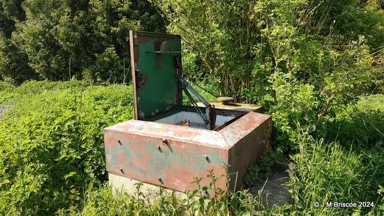 Singleton ROC Post 2024 (Sean Gallon)