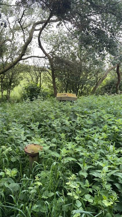 Kirkbride ROC Post 2024 (Mr F)