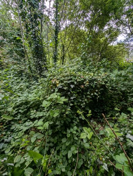 Bedale ROC Post 2024 (Matt Monaghan )