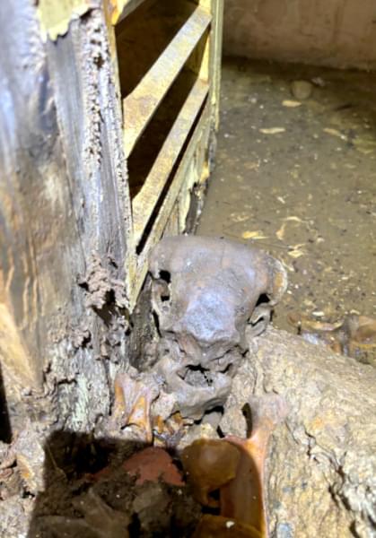 Bootle ROC Post 2024 (Mr F)