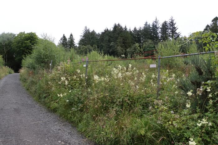 Inverkip - 3 Group, 77 Brigade AAOR serving the Clyde Anchorage GDA 17th July 2024 (Martin Briscoe)