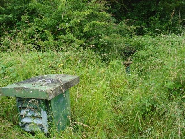 South Creake ROC Post 2024 (Erica Devitt)